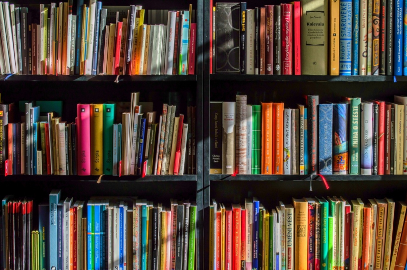 ecommerce-BRIANCONNET-min_books_bookstore_book_reading_shop_writer_sale_books_read-822866